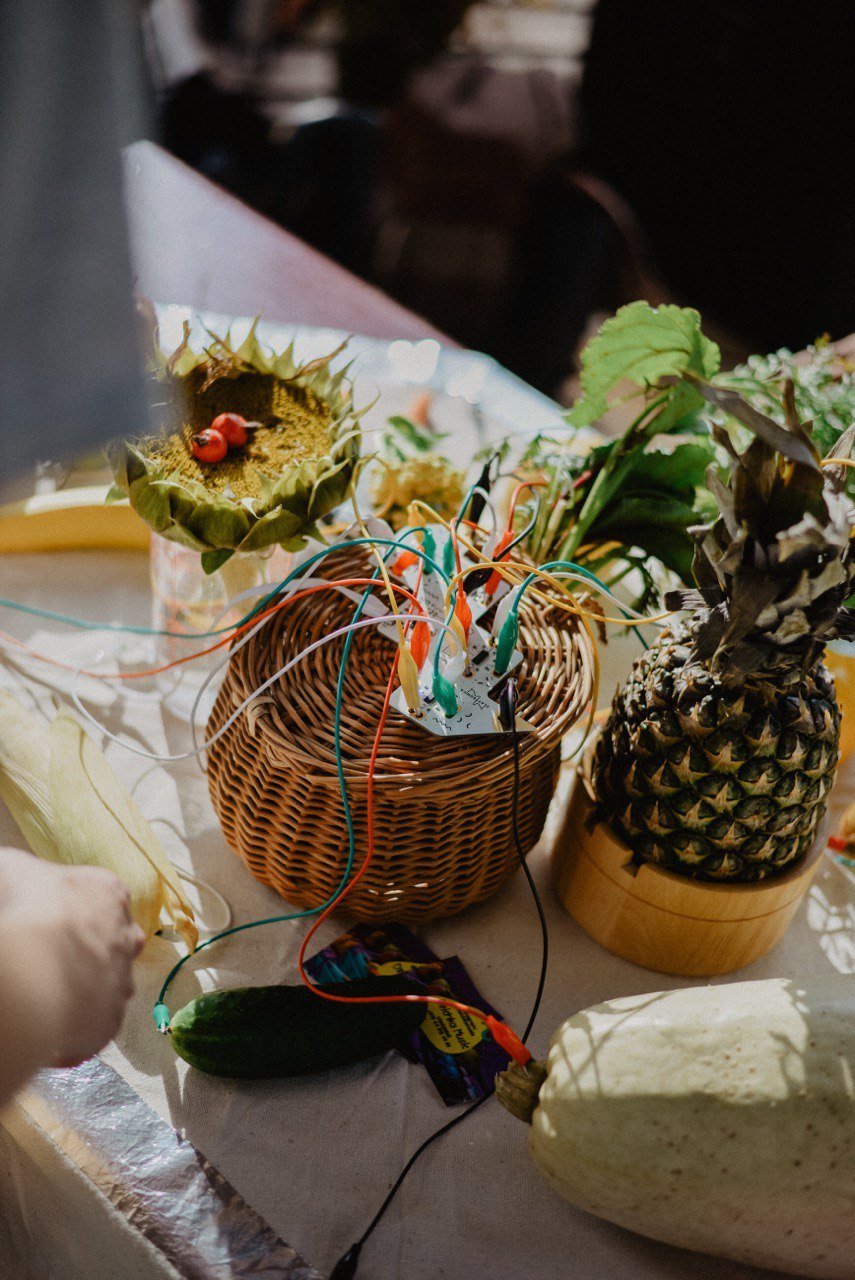 Pineapple and plants connected with wires